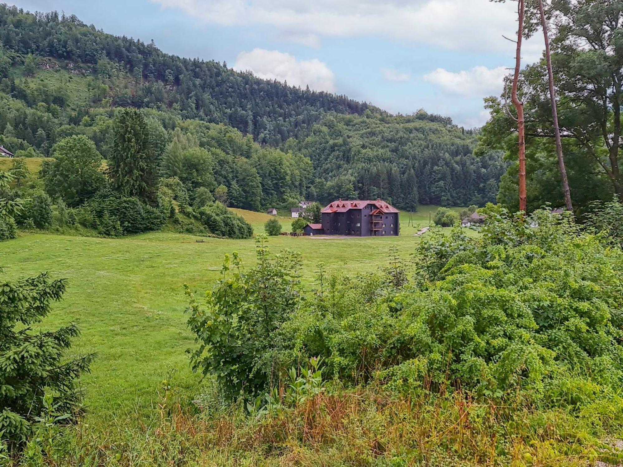 Apartment Fuchsbau-Top 2 By Interhome Grünau im Almtal Eksteriør bilde